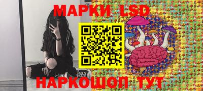 стафф Каменск-Шахтинский