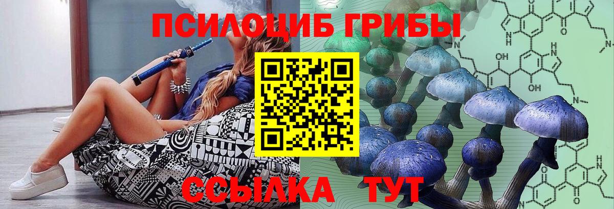 Псилоцибиновые грибы прущие грибы  Псилоцибиновые грибы прущие грибы  Борисоглебск  где купить наркоту  Вход с VPN 